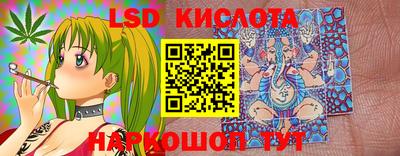 прущие грибы Заволжье
