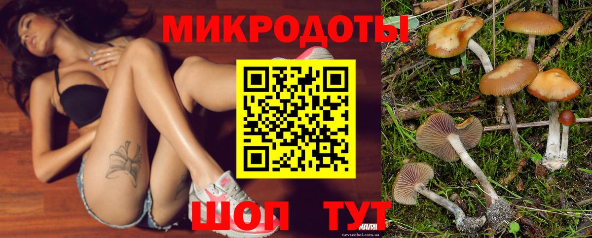 Галлюциногенные грибы мухоморы Майкоп
